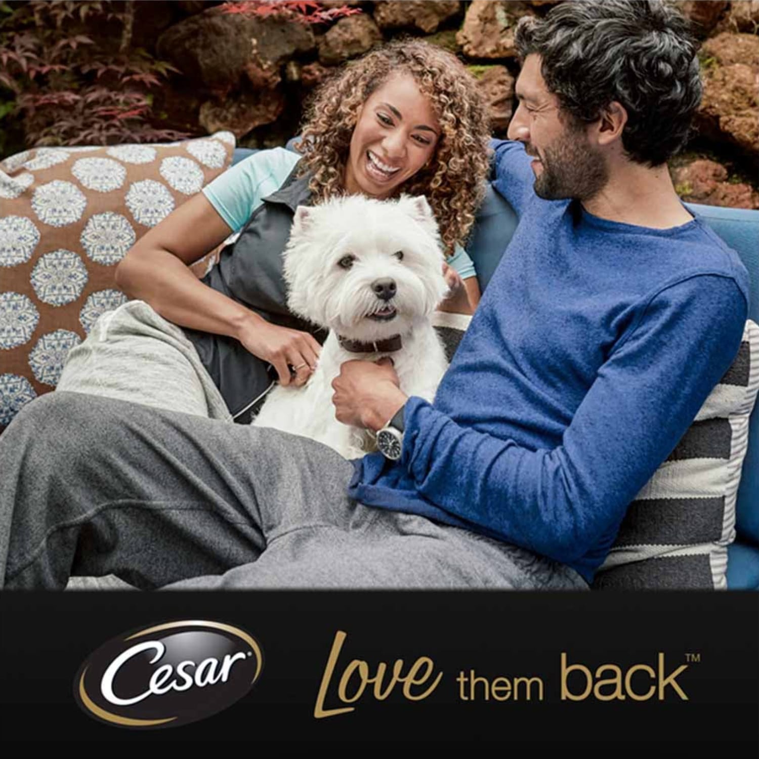 Cesar Classics Wet Dog Food Terrine Mixed Selection 8 x 150g, product image 6